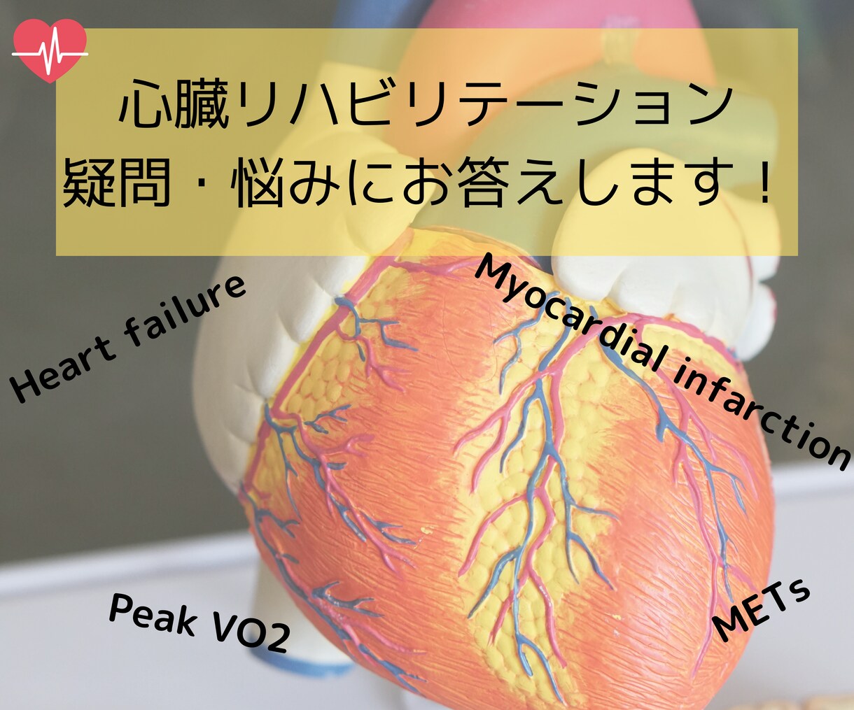 心臓リハビリに関する臨床の疑問・悩みを解決します 心リハ指導士保有！心臓血管外科・循環器内科の専属6年！ イメージ1
