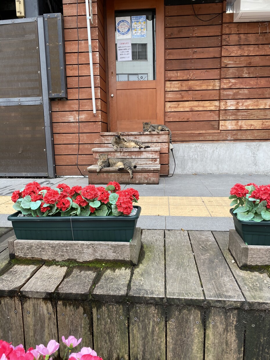 天然の広島のおばちゃんが、お話しをお聞きします 。愚痴・ストレス発散・悩みなどのお話・etc イメージ1