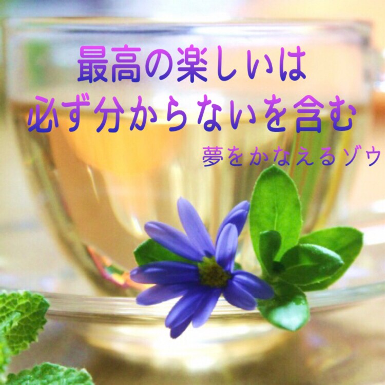 スナックつまちゃん♡元ホステスが一緒に乾杯します 楽しくワイワイ♪たまにはしっぽり…極上の晩酌時間をお届け♡ イメージ3