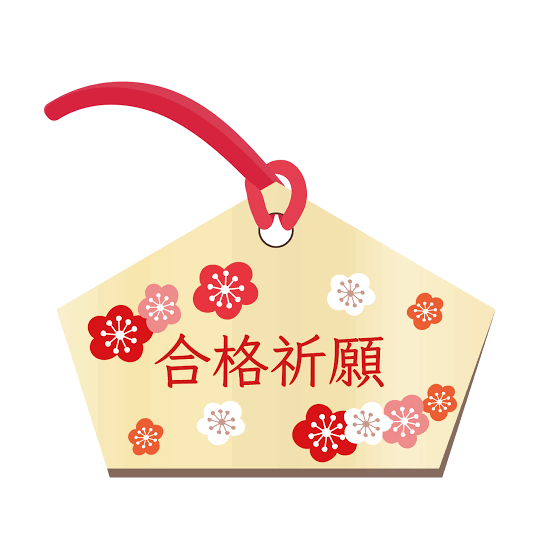看護師国試合格の、ヒ・ミ・ツ❣️の勉強法伝授します 完全オリジナルです‼️今年度合格したとご連絡頂きました‼️ イメージ7
