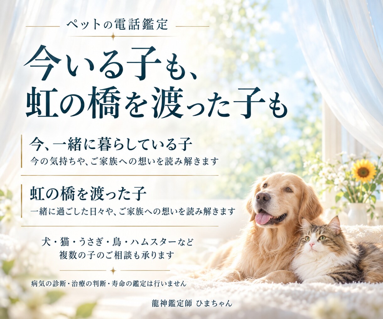 ペットの気持ちと仕草の理由を霊視でお伝えします 今いる子も旅立った子も、受け取った想いを丁寧にお伝えします イメージ2