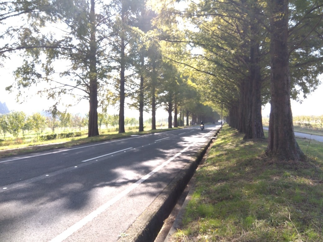 引っ越しや就職の開運法教えます 最大の開運法は引っ越しと転職です。 イメージ1