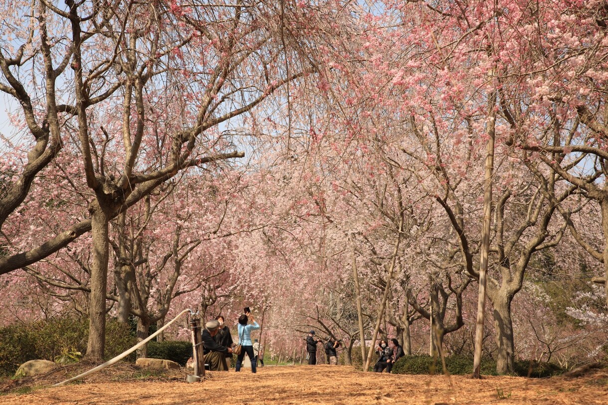介護福祉士受験対策(社会保障制度)レッスンします 福祉専門学校での経験を活かし、社会保障について解説します！ イメージ1