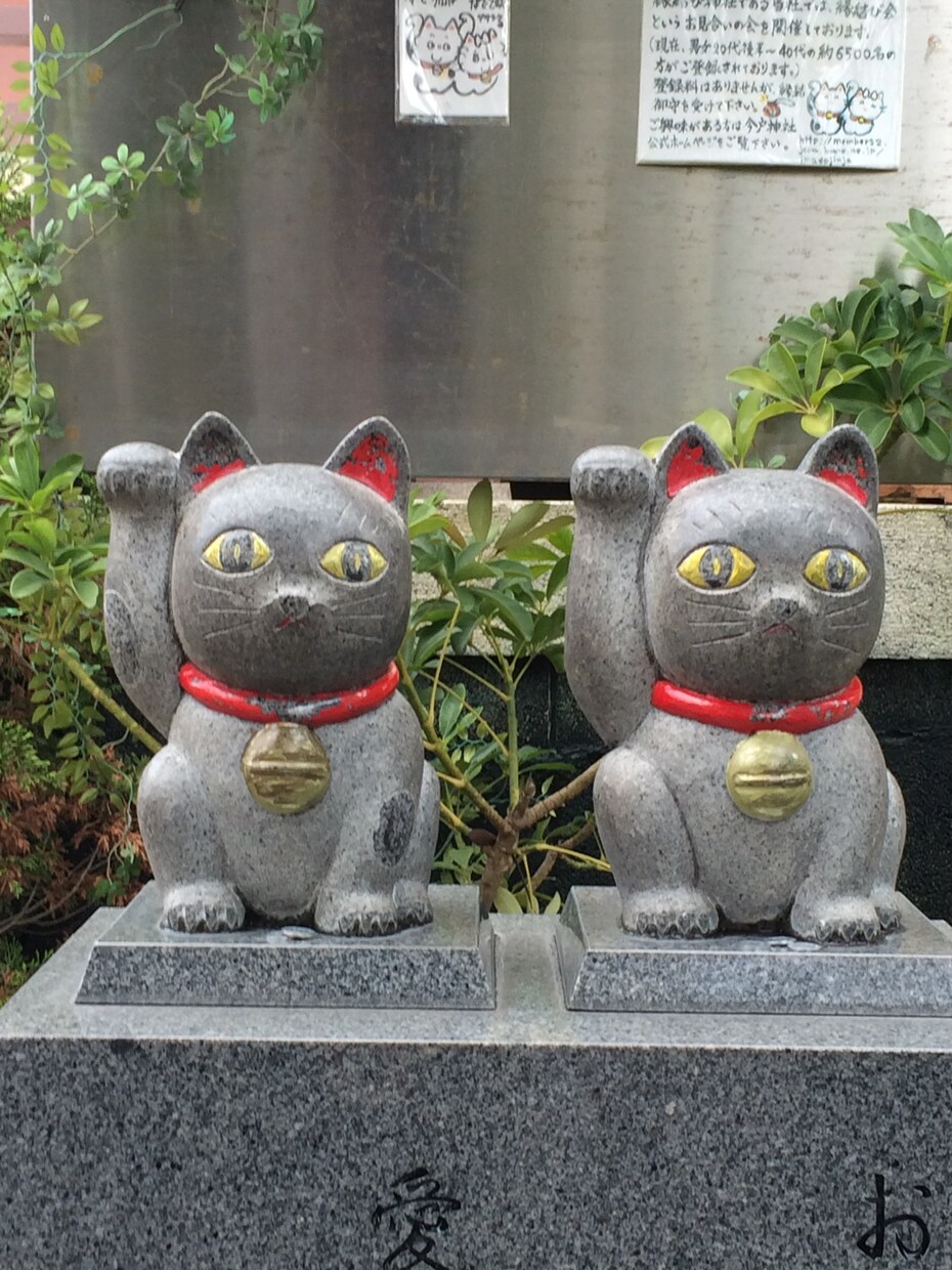 お話ししましょ！優しくあなたに寄り添います どんなお話しでも秘密厳守でお聞きします。 イメージ5