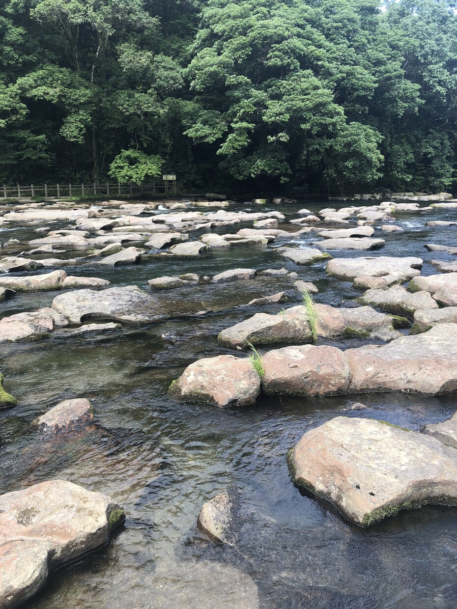 男性限定❤️隠れ家、秘密基地で待ってます 子供の頃の秘密の場所❤️私も一緒に共有させて！ イメージ4