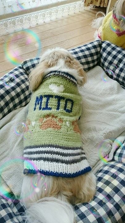 犬のセーターの編み図作ります 愛犬ちゃんにオリジナルデザインのセーターを編んであげましょう イメージ3