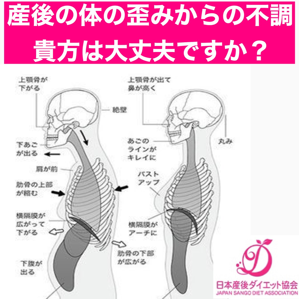 日本産後ダイエット協会認定資格取得が出来ます 産後女性の心と身体のケアで日本を元気に‼️妊娠前よりキレイ イメージ5