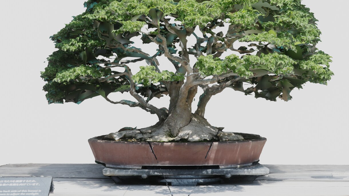 3DCGでデジタルアーカイブを行います 高精細カメラおよびドローン撮影の写真から3DCGを作成します イメージ7