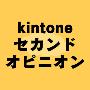 kintoneのセカンドオピニオンをします kintoneの運用に関する二次的な相談窓口です イメージ1