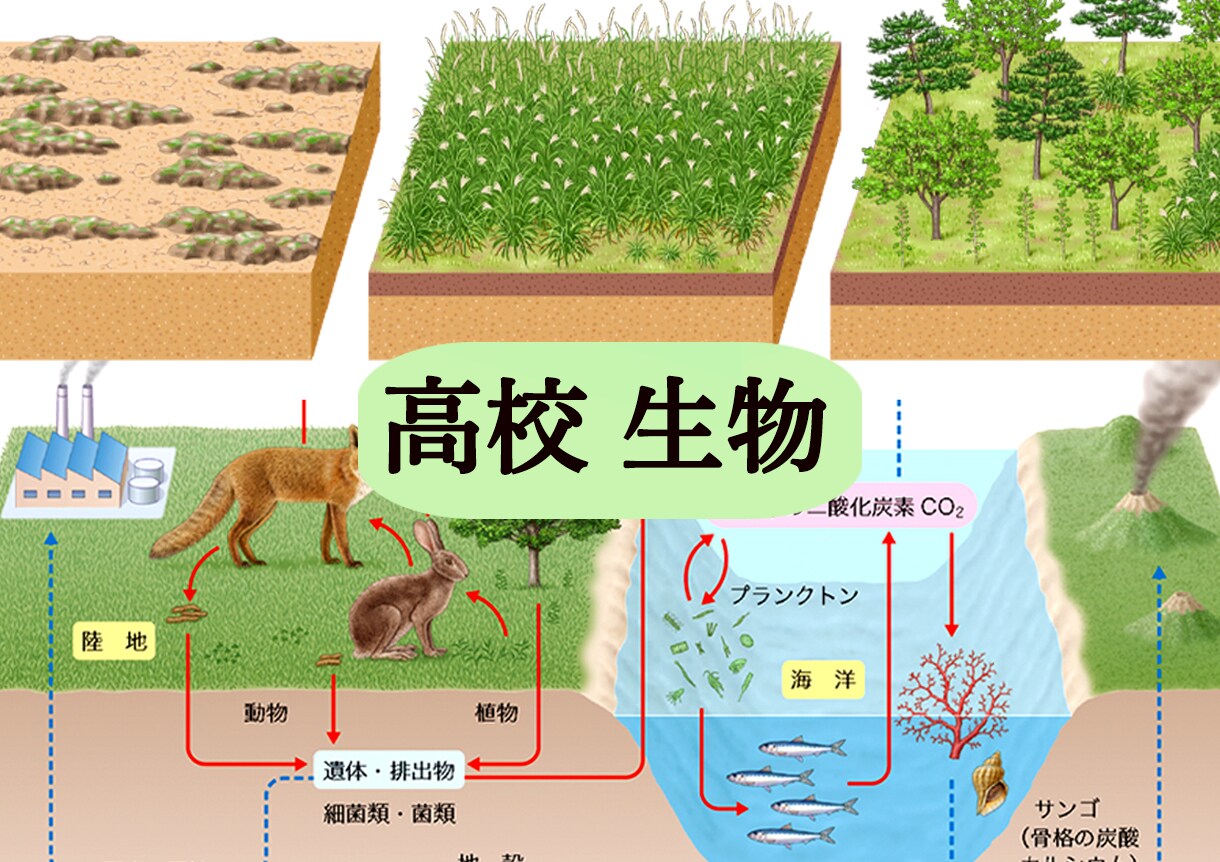 １ランク上のクオリティで理科教材の図版を描きます 植物、昆虫、魚類などの生物から理科の実験器具まで制作します。 イメージ5