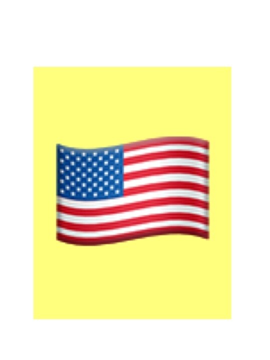 アメリカ合衆国に関する質問に答えます 英語、NBA、政治など、米国に関する質問にお答えします。 イメージ1