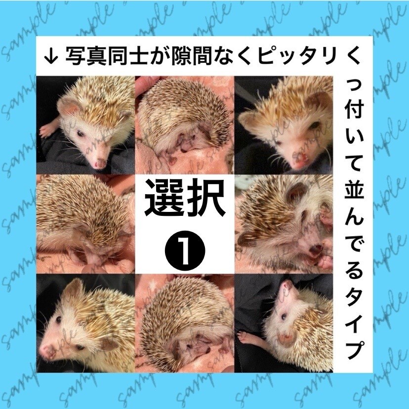 複数の写真を１枚にまとめてレイアウトします 日常／商品紹介／告知／推し活など用途に合わせ幅広く対応します イメージ4