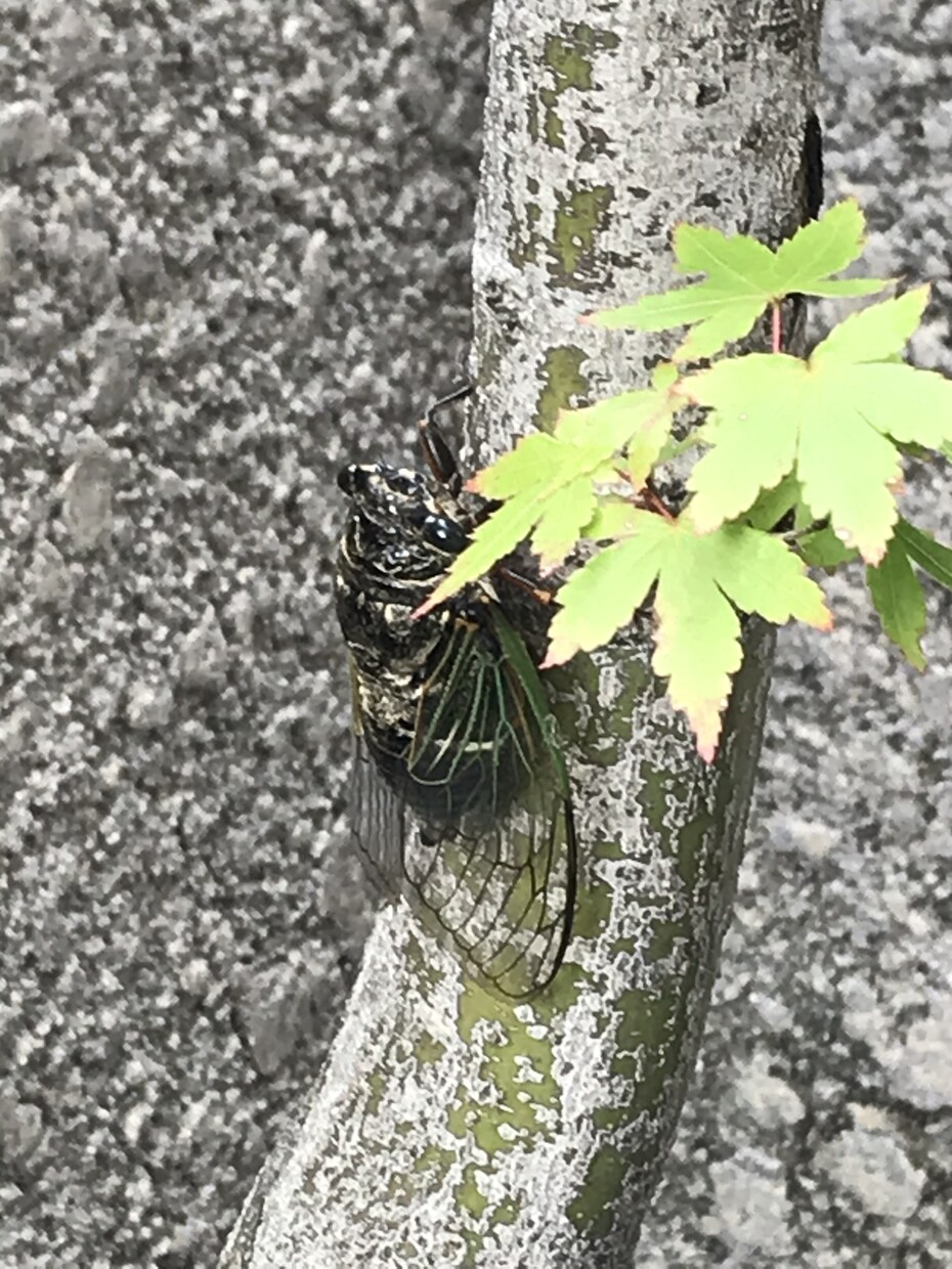 薬の悩み、漢方についての相談、どんな相談に乗ります 電話相談のべ2500名以上の実績、漢方薬剤師が対応します。 イメージ1