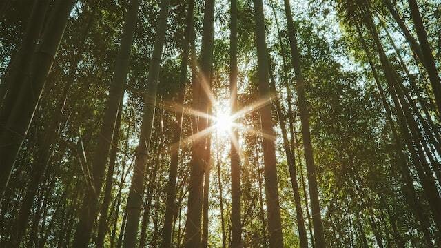 恋愛成就※気になるあの人とのご縁を霊視します ※霊魂に呼びかけ片思いや復縁の悩みを解放する『恋愛霊魂鑑定』 イメージ8