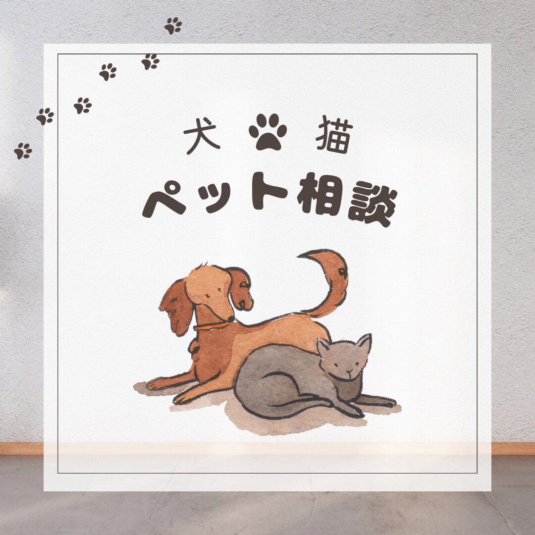 現役動物看護師がペットのお悩みお聞きします しつけ相談、病気の相談、グッズや食事の選び方など イメージ1