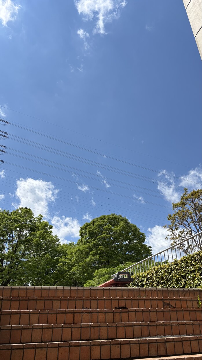 大学生が撮った日常写真を販売します 大学生ならではの視点で切り取った素朴な日常 イメージ5
