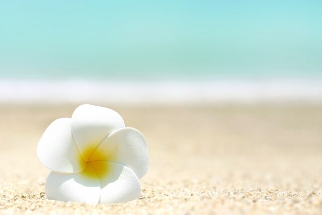 ５分未満の短時間でもOK★あなたのお話聞きます ･:*+. ほんのちょこっとでいいから誰かと話したい方など イメージ4