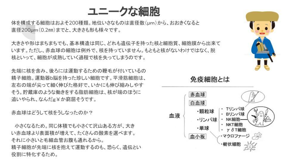 生理学について教えます 教科書の内容をわかりやすく教えます イメージ2