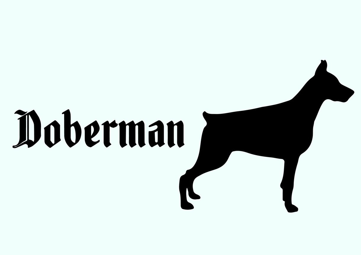 写真からペットのイラストを作ります 犬、猫、その他の動物も大歓迎です！ イメージ8