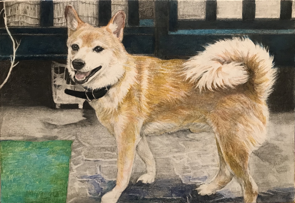 写真からリアルな鉛筆・色鉛筆の似顔絵をお届けします 動物好きな画家が心を込めて絵がきます。 イメージ6