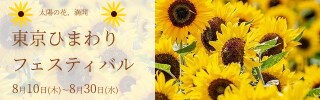 WEBバナー作成を格安で作ります 分かりやすくかつご要望に応じたバナーを作成します。 イメージ4