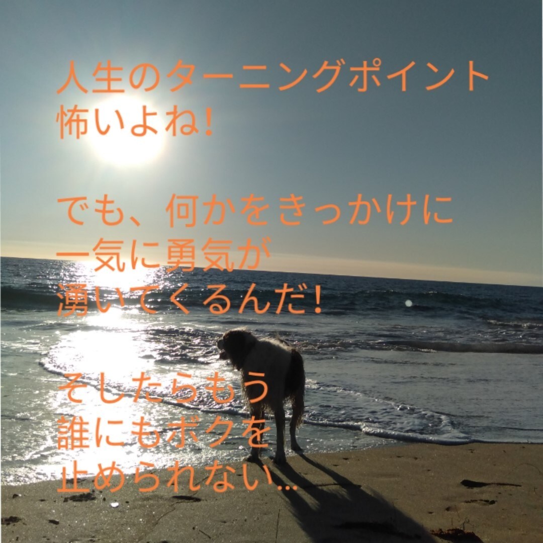 人に言えない悩みは色々あります！人生相談承ります もやもやしている問題を解決できるよう、お手伝いさせて下さい！ イメージ4