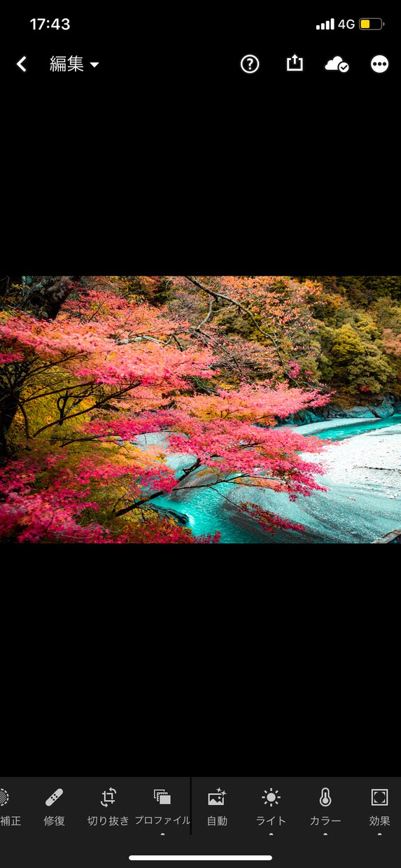 スマホやカメラの写真を美しく生まれ変わらせます 画像編集ソフトを使って写真を綺麗に仕上げます イメージ6
