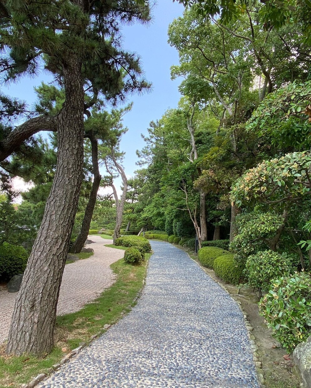 新規事業の立ち上げについて相談に乗ります 事業化企画の成功に向けて伴走します! イメージ5