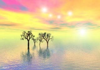 ネガティブを除去して疲れた心を癒します ネガティブを除去して明るい未来を引き寄せましょう！ イメージ2