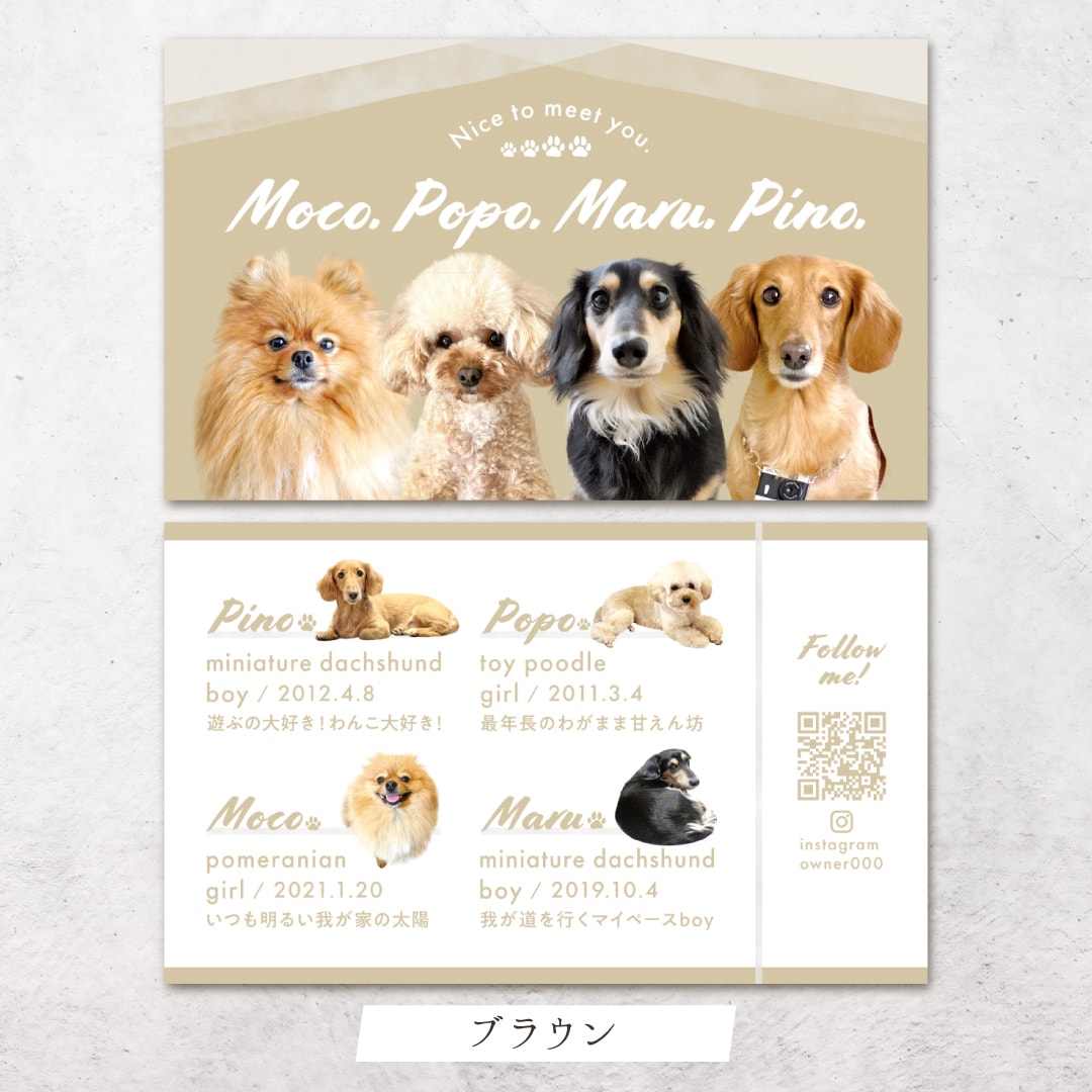 4頭限定×フェミニンが可愛いペット名刺制作します ４頭限定！印刷代込み100枚！オフ会・イベントで大活躍♩ イメージ9