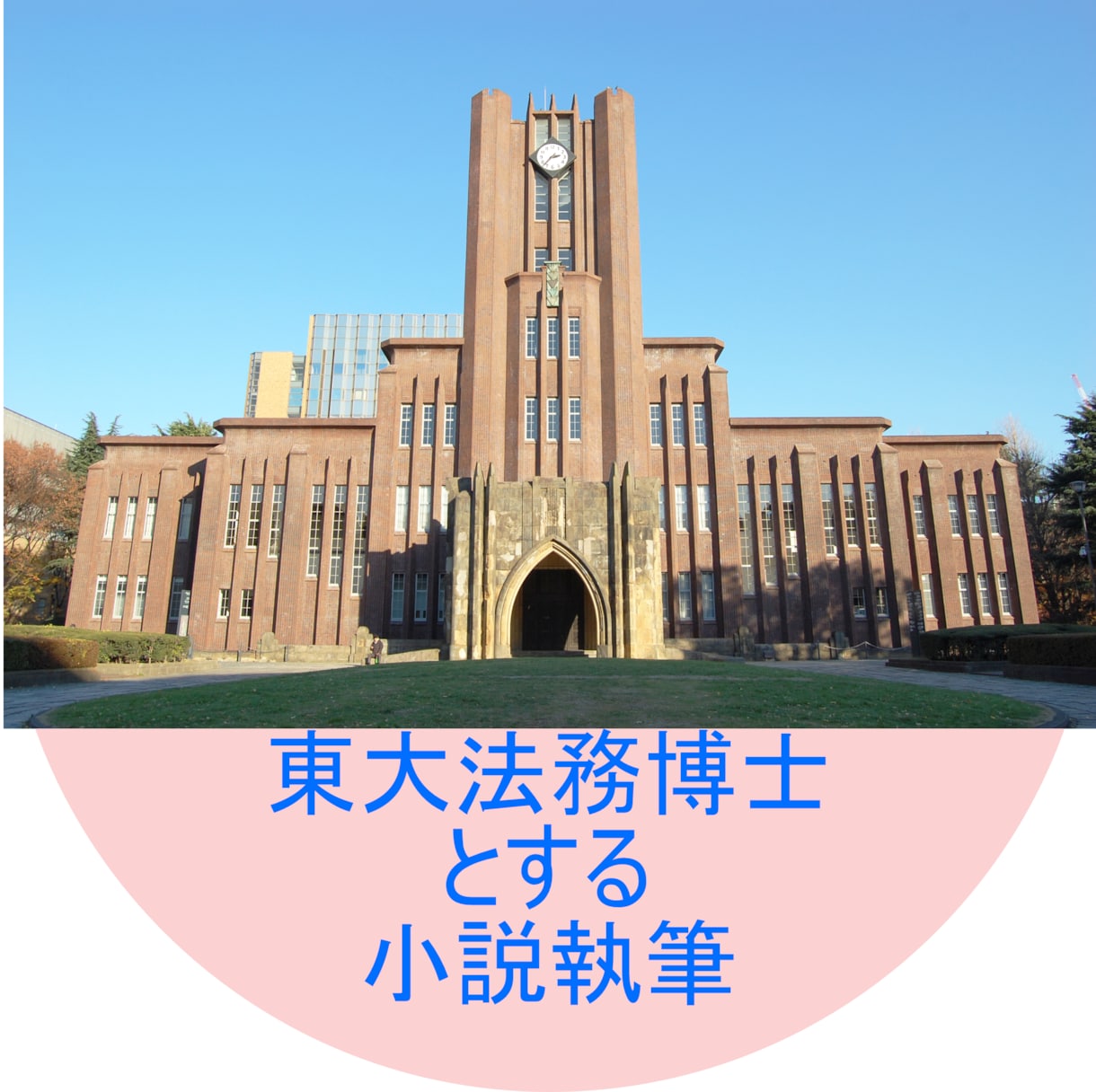 東大院卒★小説執筆の相談お受けします 相談したり、アイディア出しを手伝ってほしい方 イメージ1