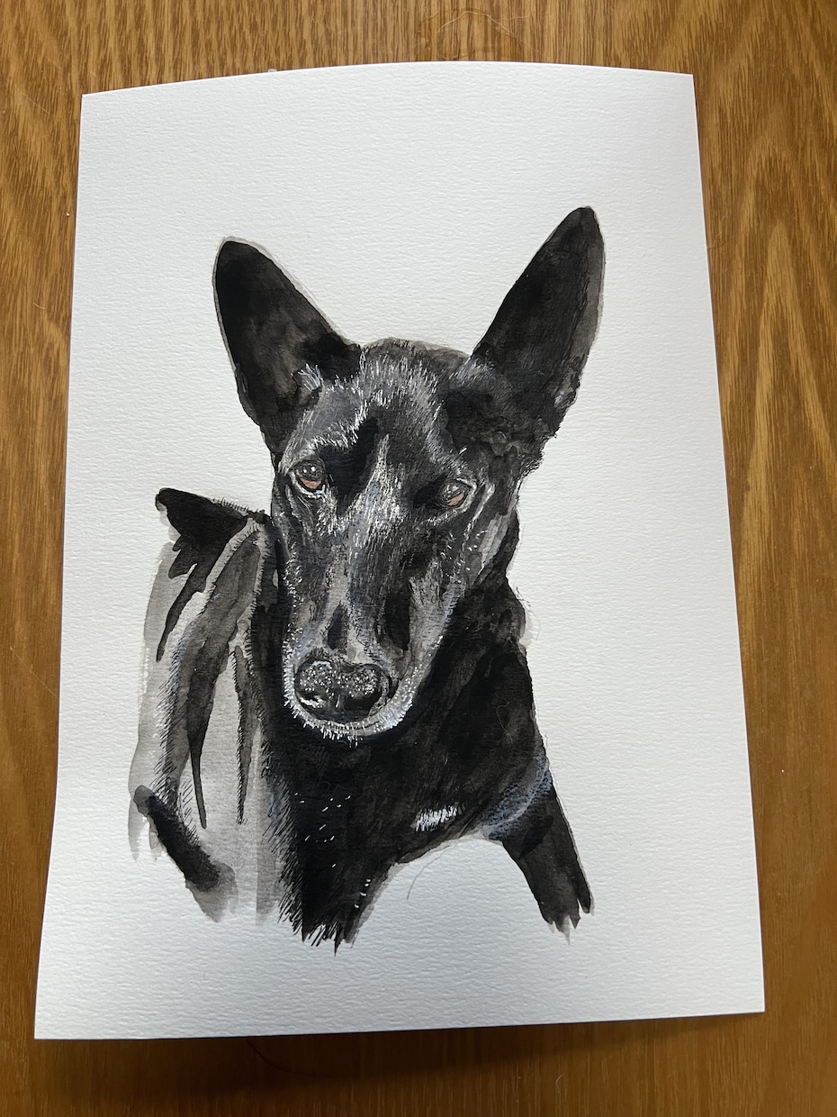犬や猫の絵を描きます 画像からえんぴつや顔彩で絵を描きます。 イメージ5