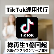 総再生1億回！TikTokアカウント運用代行します 総再生1億回現役インフルエンサーが一貫サポート イメージ1