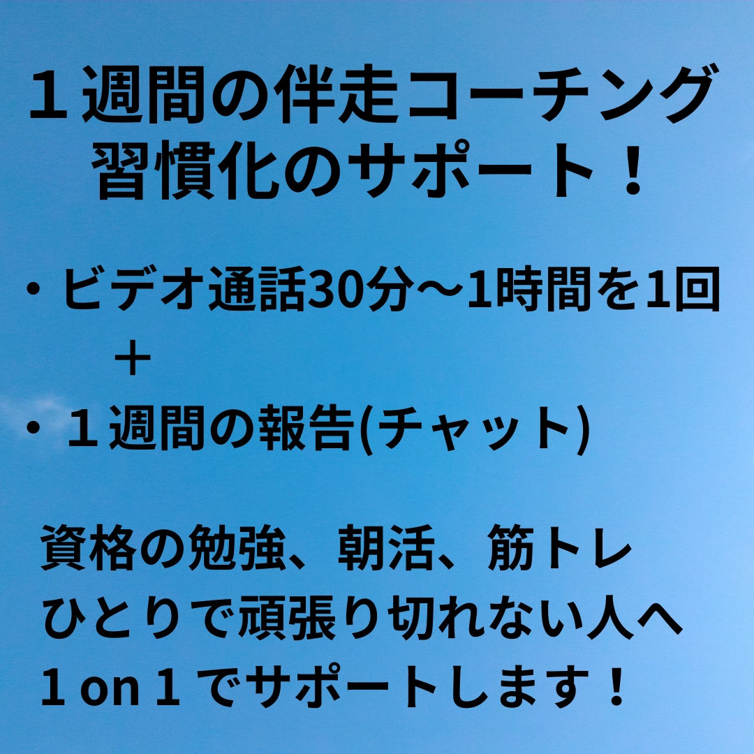 習慣化に伴走！ビデオ通話後7日間ＤMで応援します 仕組み化を一緒に考えて実行！複数習慣OK。毎日報告で継続！ イメージ1
