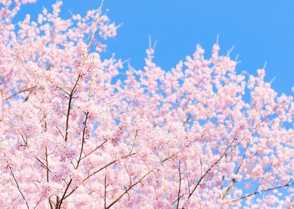 秘密厳守。あなたに寄り添ってお話聞きます 大切な人達から何故かキツくあたられて自信喪失してしまう方へ。 イメージ9