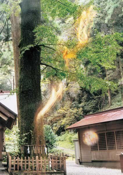 悩みなんでも聞きます 毒親、子育て、病気の家族、一度、話してみましょう イメージ1