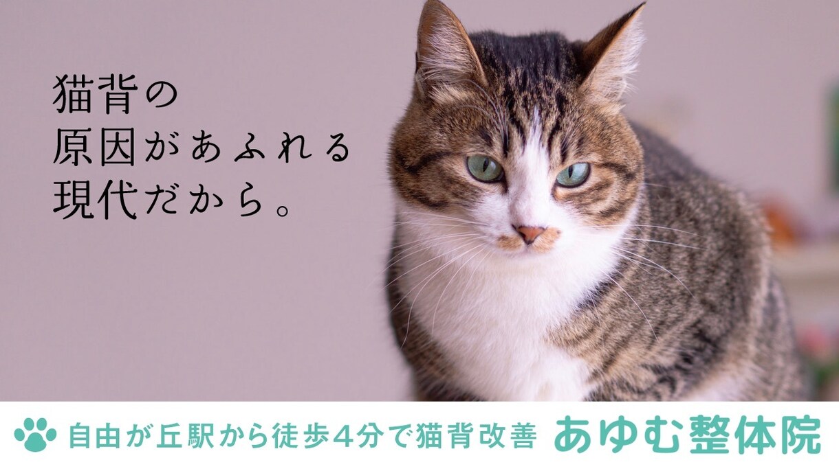 キャッチコピー・ネーミング・ボディコピー考えます 5案、無料修正2回までご提案いたします イメージ8