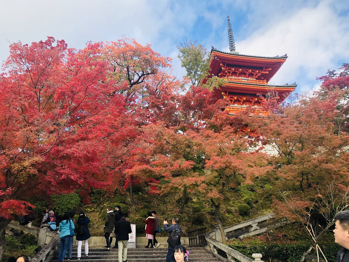 コロナの後は旅行しよう！ステキな旅プラン考えます 元大手旅行会社で、現役CAがステキな旅プランを作成します❣️ イメージ1