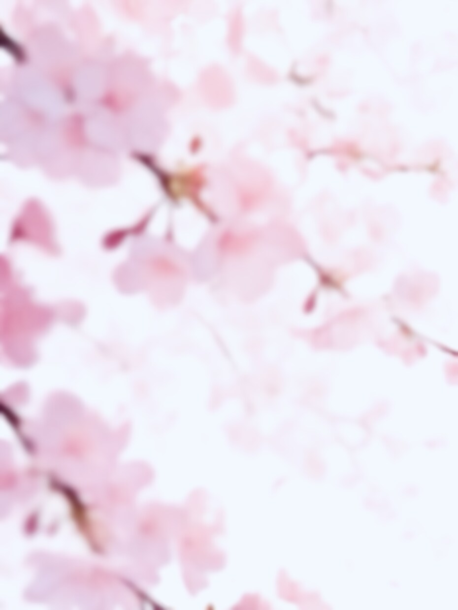 立ち絵　販売しています。1点のみです。ます 桜、桜餅風　女の子　着物　ピンク イメージ5
