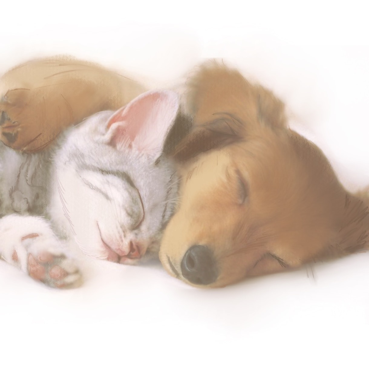 写真をそっくりそのままイラスト化します 写真をそのままデジタルイラストに！ イメージ5