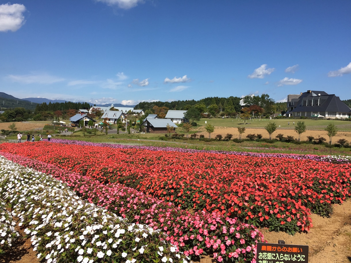 最高のデートプラン提案致します。（東海地区限定） イメージ1
