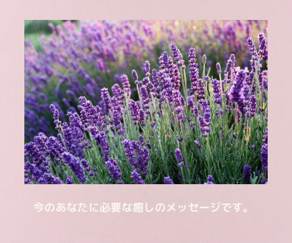 天国に旅立ったあの人の想いをカードで読み解きます ✨魂で繋がる大切な人からあなたに伝えたい必要なメッセージ イメージ3