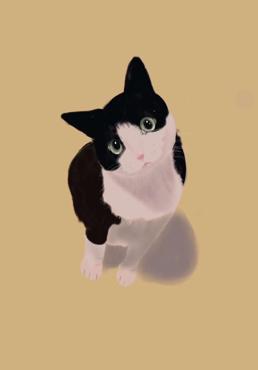 あなたのペットのイラストをトートバッグにします 大好きなペットをイラストにして、持ち歩いてみませんか？ イメージ5