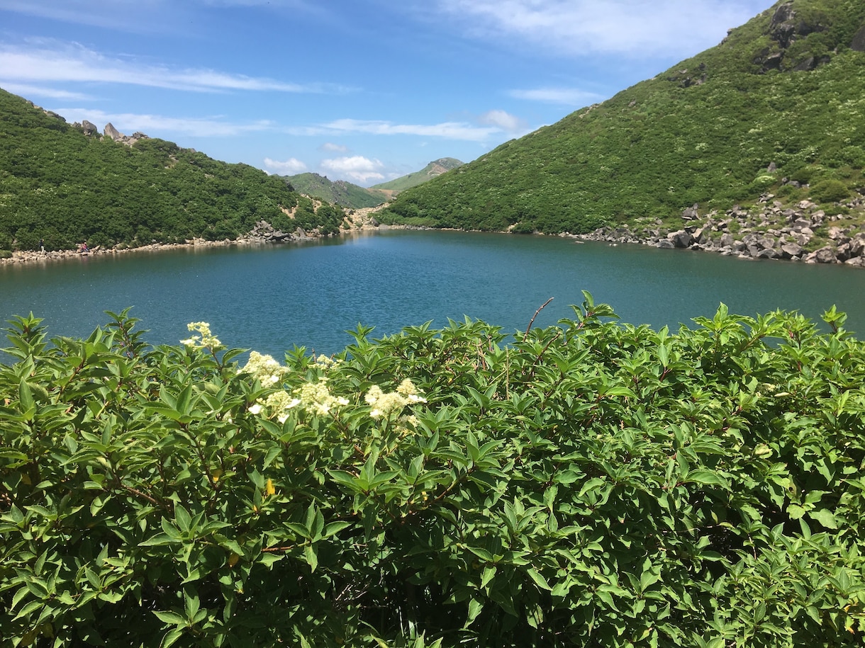 大分県についてのご質問やご依頼を承ります 旅行や、その他何でもご相談ください イメージ2