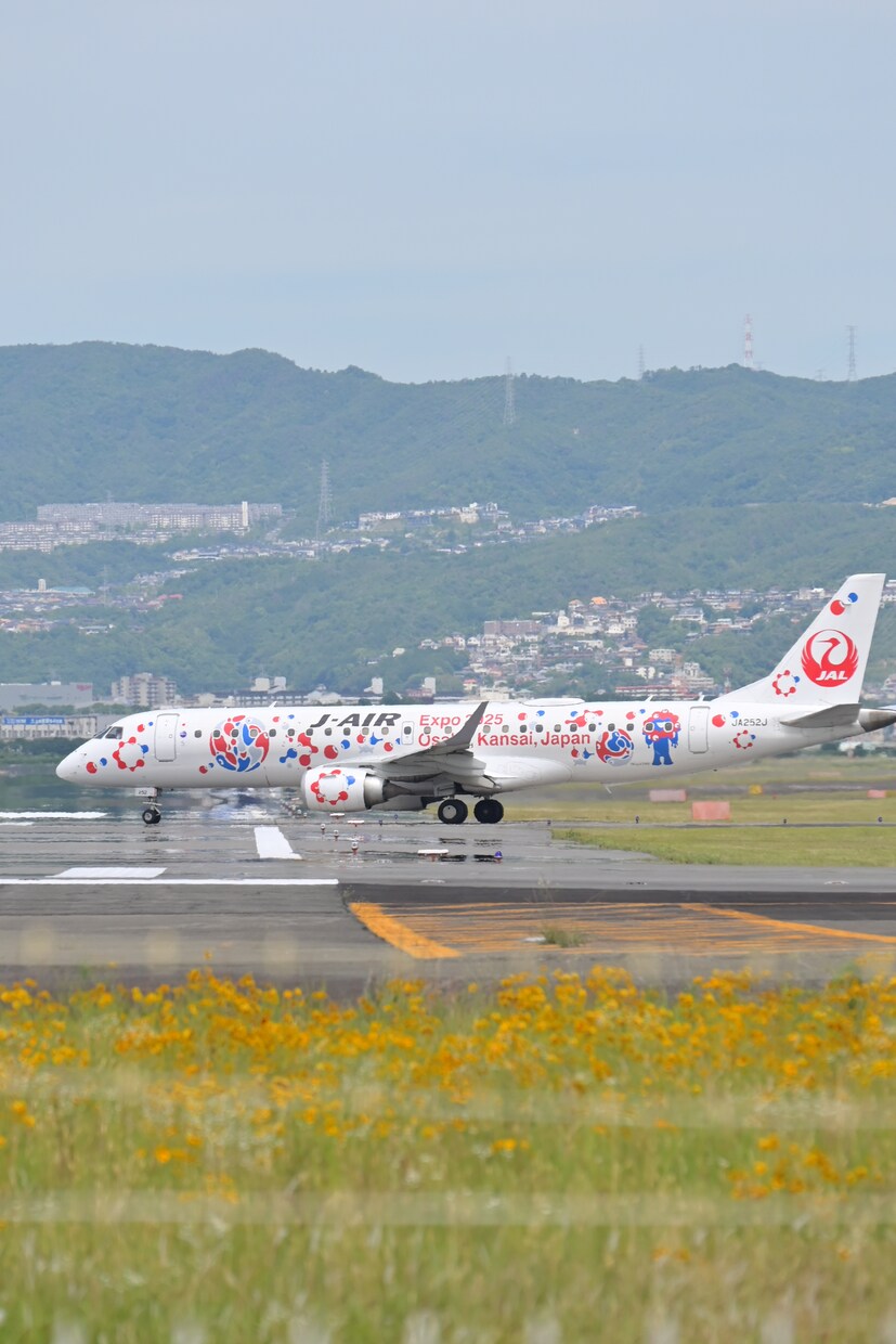 飛行機の写真をお探しの方にご提供します 飛行機が好きな方に写真をご提供さしてもらいます イメージ6