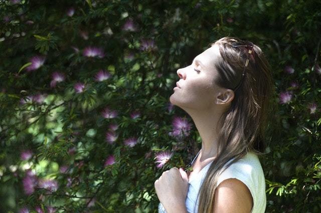 あなたのホリスティックバランスを整えます もっと健康でキレイになりたい、幸せに生きたいあなたへ イメージ1