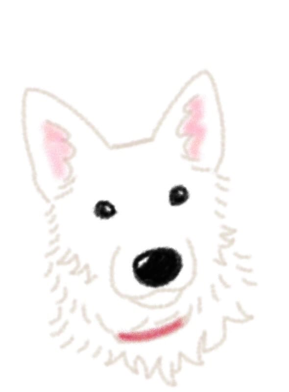 愛犬のイラストを描きます 世界一可愛いあなたの愛犬イラスト柔らかいタッチのイラスト イメージ7