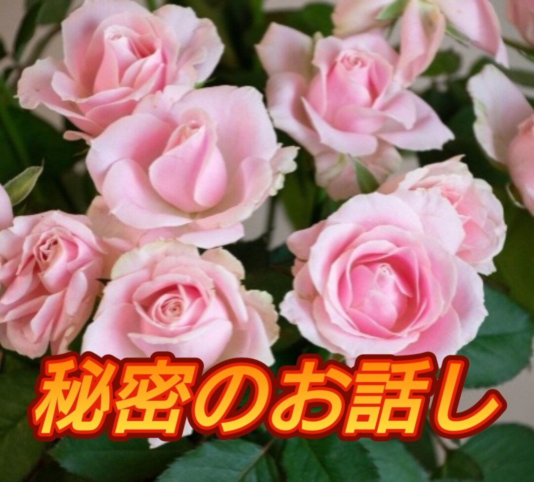 誰にも言えない秘密のお話しをお聞きします どのような内容でも大丈夫！安心してお話しください。 イメージ1