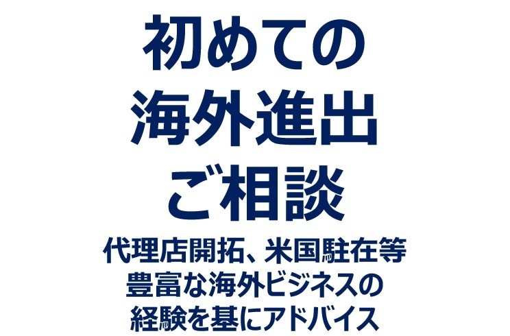 初めての海外進出についてアドバイスします 自社商品に輸出して売りたいと考えている企業様の相談にのります イメージ1
