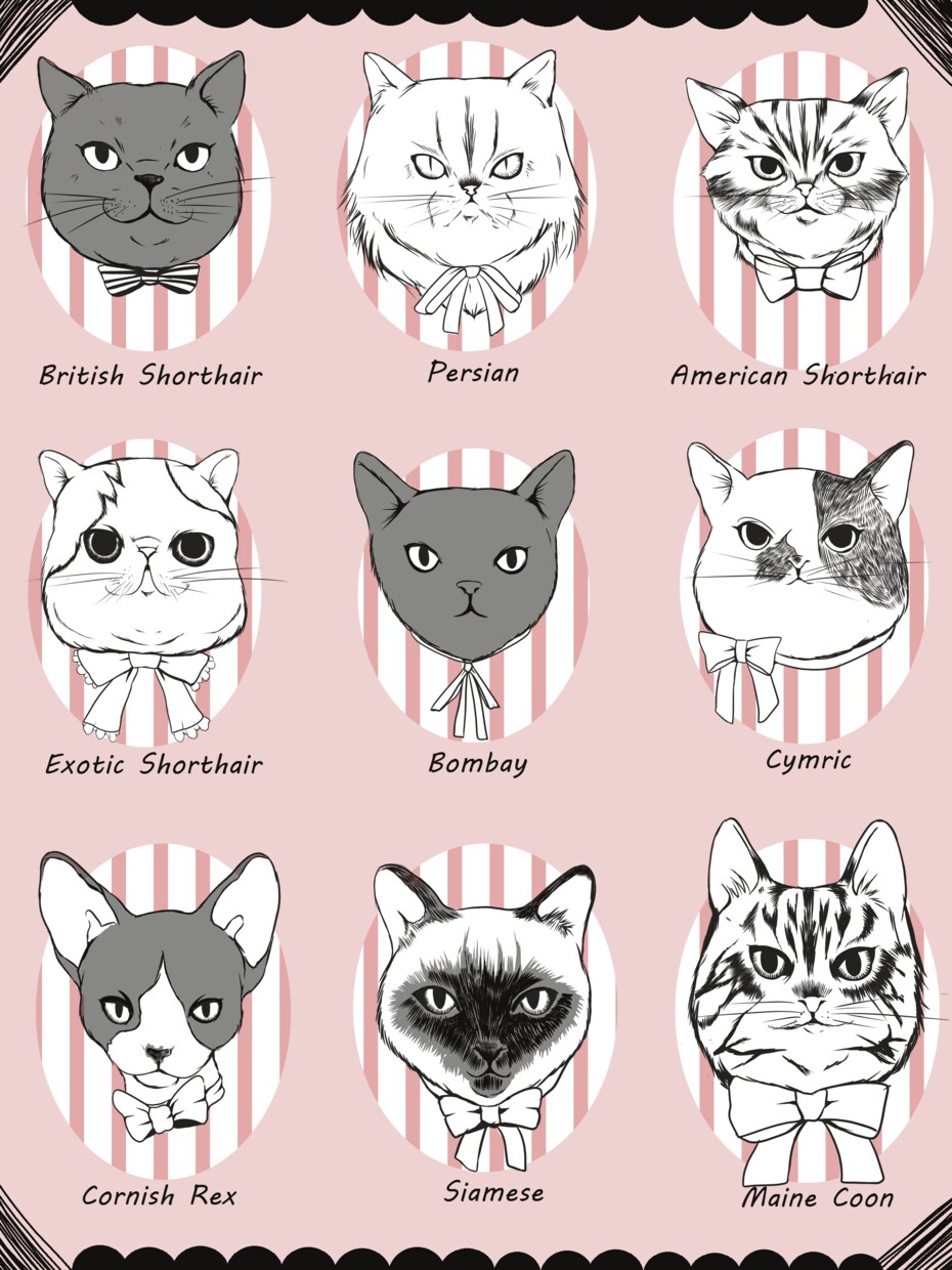 かわいい系やかっこいい系ご要望に合わせて描きます アイコンやSNS、年賀状、サイトの挿絵にいかがですか？ イメージ6